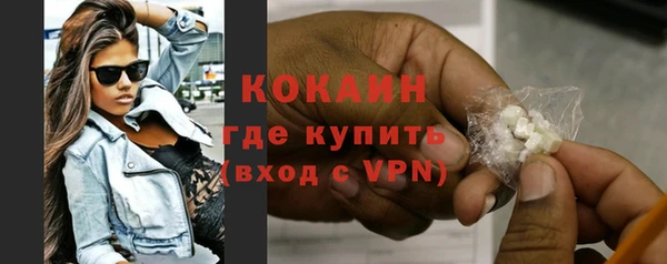 мдпв Богородск