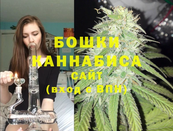 гашик Белоозёрский