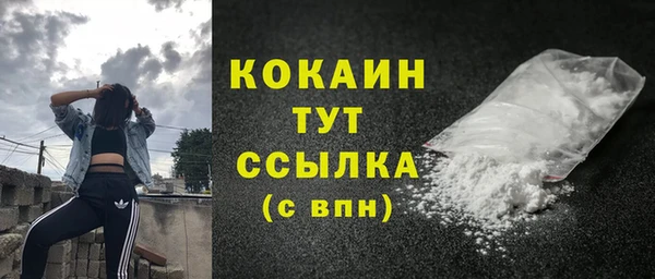 твердый Богородицк